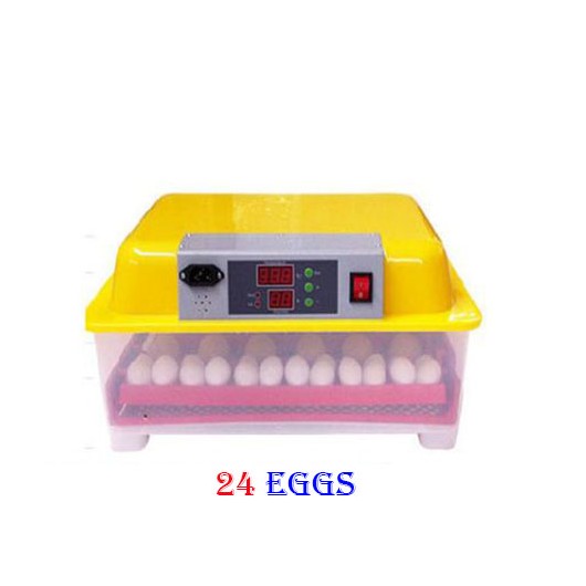 large incubator for eggs